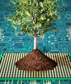 Five key considerations for a technology company to be sustainable