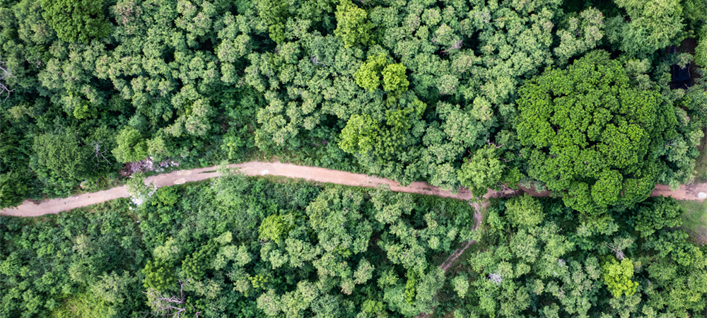 Axis Communications sets emission reduction targets in line with the Science Based Targets initiative