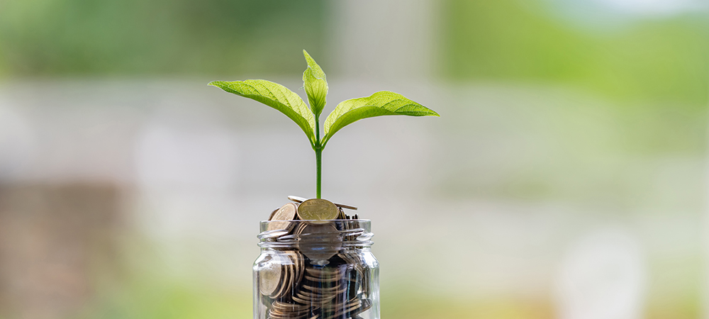 Report finds sustainability deprioritised as banks respond to the economic crisis