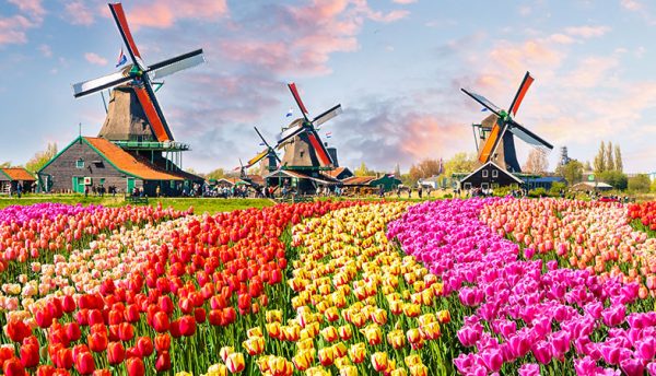 The Netherlands takes centre stage with innovative financial deployments  