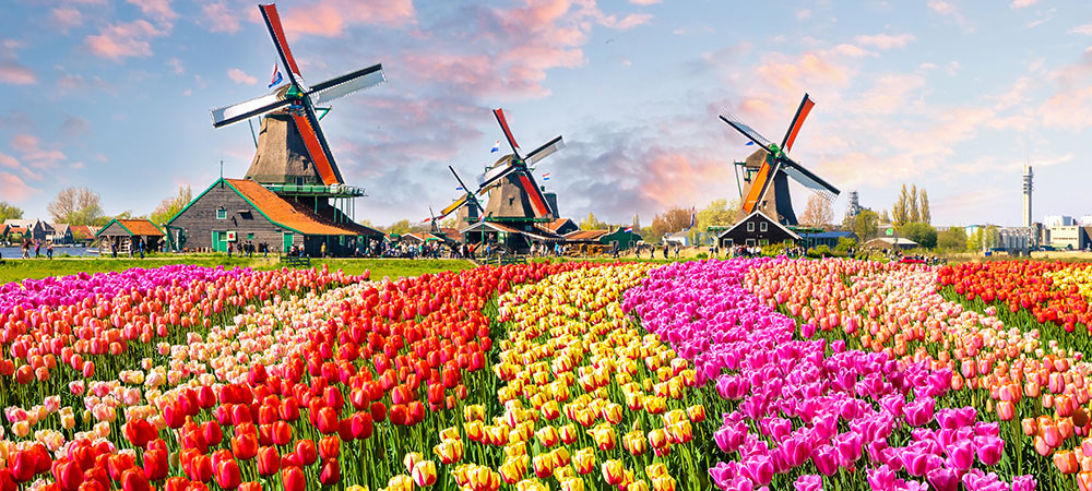 The Netherlands takes centre stage with innovative financial deployments  
