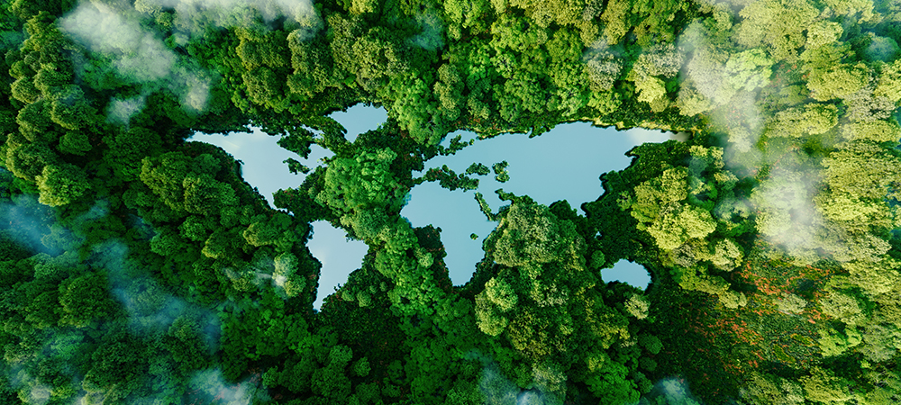 Google and University of Cambridge join forces for responsible AI innovation