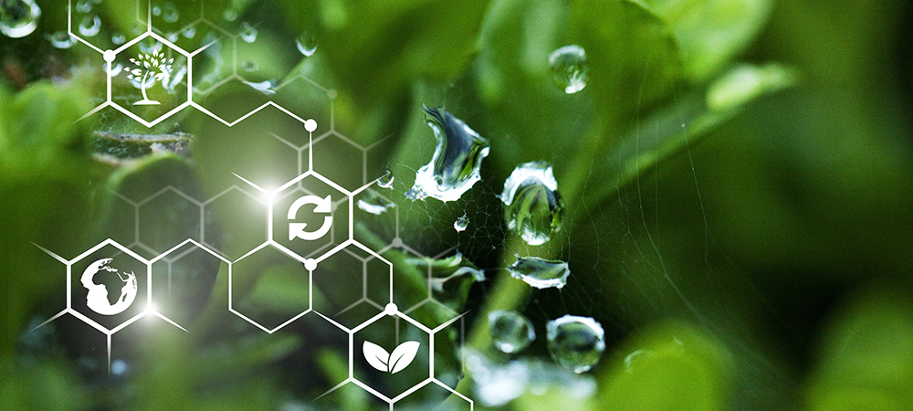 Scala Data Centers invests in sustainability with Furukawa’s Green IT Program