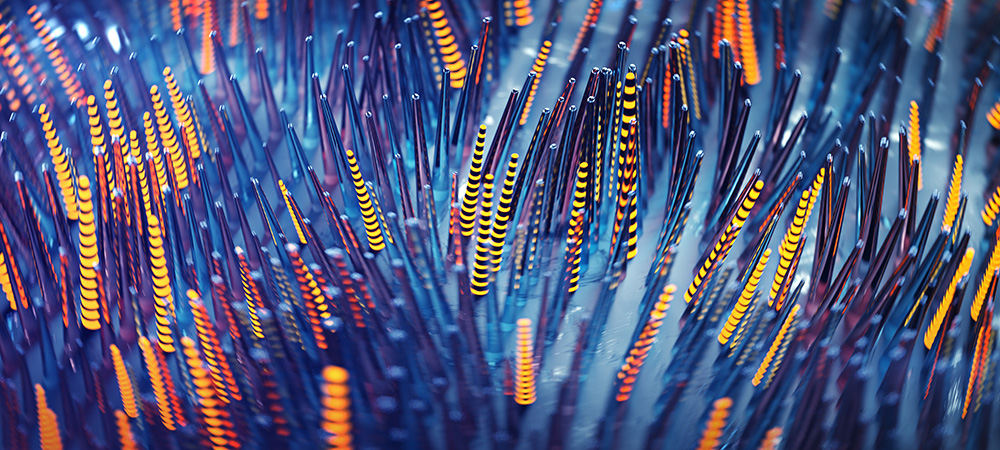 Tampnet closes acquisition of BP’s 1200km Gulf of Mexico fiber network