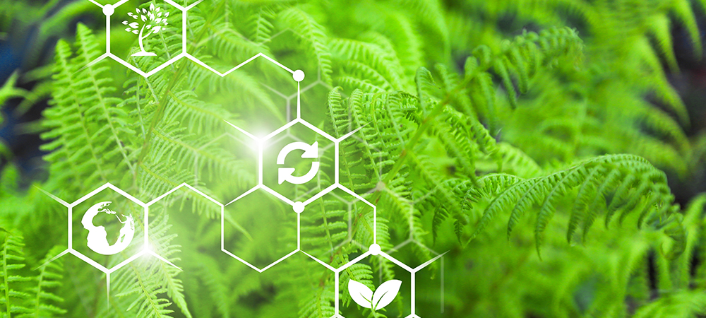 SAP report finds sustainability still challenging to implement