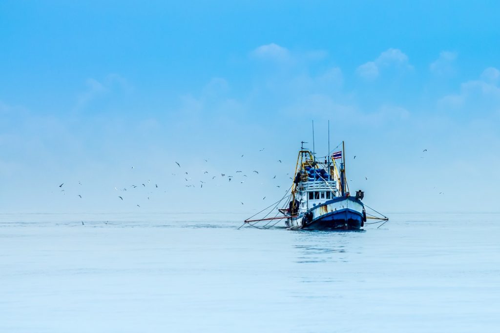 NIRSA in Ecuador improves business processes with SAP