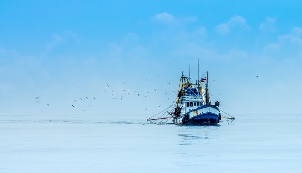 NIRSA in Ecuador improves business processes with SAP