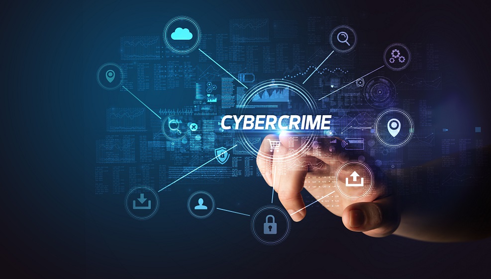 Criminalizing cybercrime and raising the risk for cyberattackers