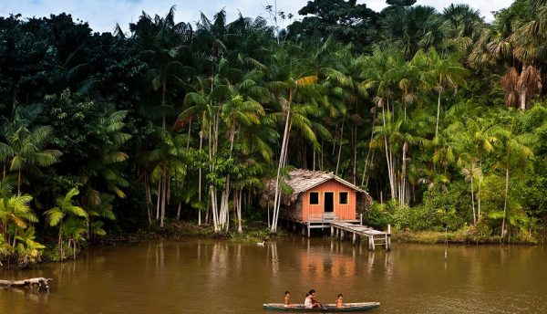 Over 1,000 isolated locations in the Amazon access satellite Internet for first time