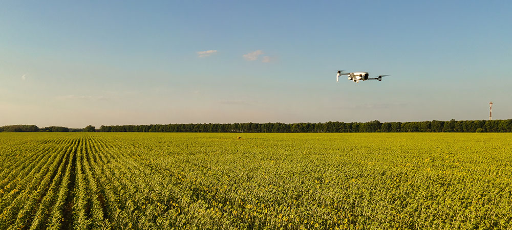 Embratel launches AI solution for strategic weed management in soybean and sugarcane crops