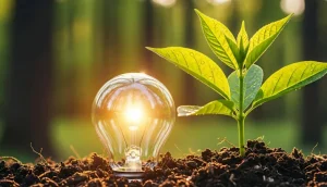 Moderna Alimentos achieves 100% renewable energy at Quito production plant