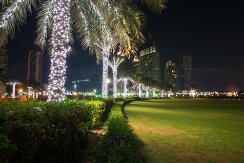 Wi-Fi Smart Palms sprouting in Dubai