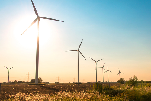Amazon to build massive wind farm to power services