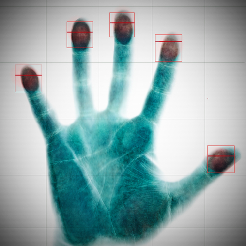 Gemalto introduces security architecture for biometric fingerprint authentication