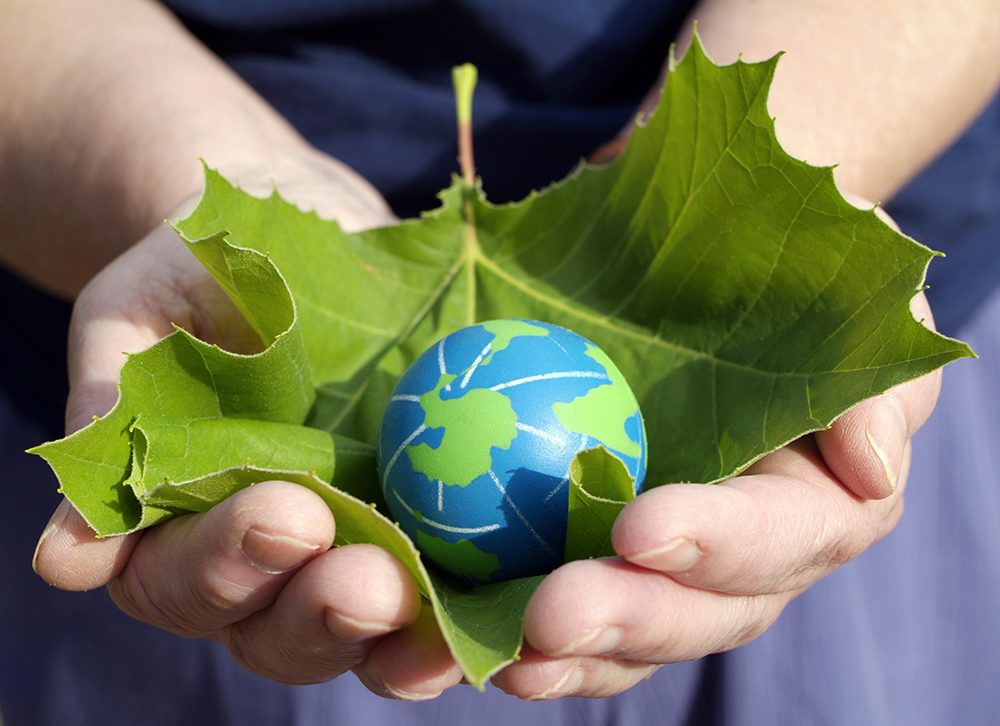 Schneider Electric: Digital tech helps utilities improve sustainability