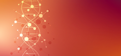 The 4 Components of Ivanti Neurons