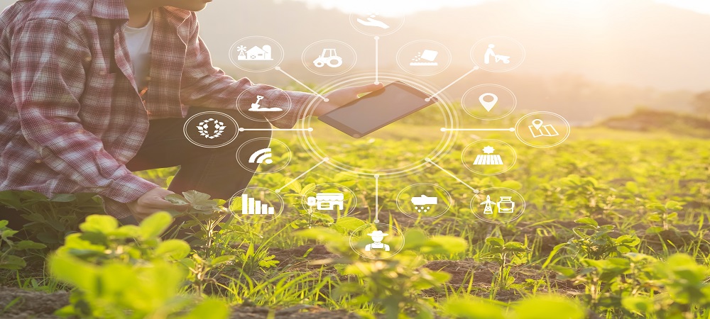 Ericsson and du partner with Pure Harvest Smart Farms to collaborate on 5G solutions