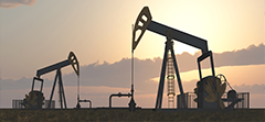 Petroleum Development Oman