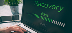 Guaranteed data recovery from a ransomware attack or your money back.
