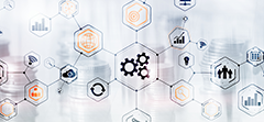 The CIO’s Guide to Successful Process Automation