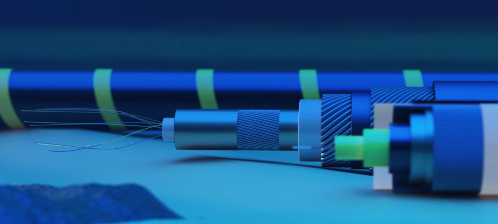 Telecom Egypt deploys Ciena’s GeoMesh Extreme on its MENA cable
