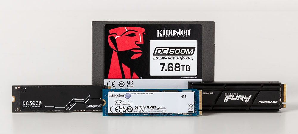 Kingston Technology tops channel SSD market share for 2023