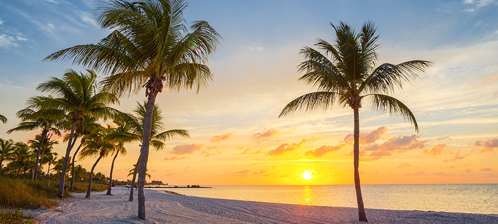 Gaylord Palms Resort & Convention Center modernizes its network architecture