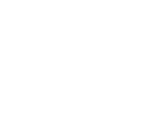 CXO Logo